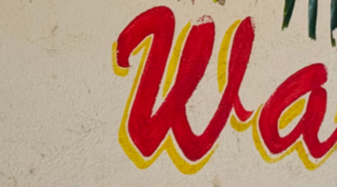 houseofwaves-saladita-2026.jpg
