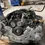 Thumbnail: 2010 2011 Subaru Legacy 3.6L DOHC Engine For Sale