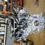 Thumbnail: 2018 2019 2020 2021 Lexus IS300 3.5L 2GRFKS Engine For Sale