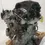 Thumbnail: 2014 2015 Chrysler 300 3.6L VIN G 8th Digit AWD Engine Motor For Sale