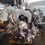 Thumbnail: 2017 2018 2019 GMC Sierra 3500 HD 6.6L L5P Engine For Sale
