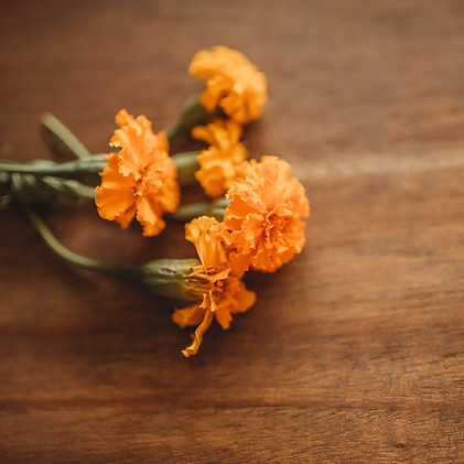 Natural Skincare by Simplee Rooted
