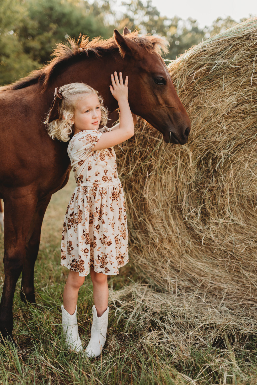 Canton, Texas Pony Photographer