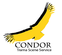 Condor TCS 2.png