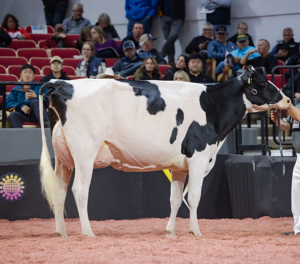 Full sister to embryos