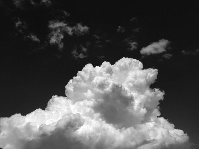 IMG_0103.jpeg