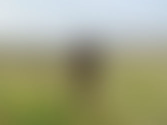 Петиція про присвоєння посмертно звання Героя України