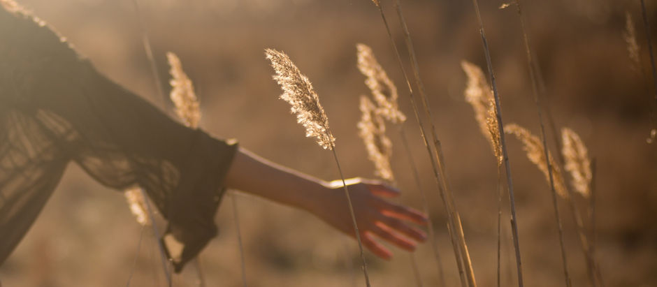 UN PERDÓN PROFUNDO Y UN ADIÓS VERDADERO.