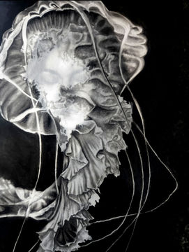 Medusa.