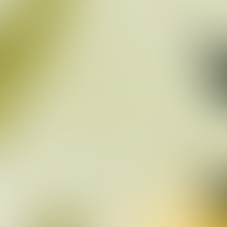 2024/25 Impact & Progress Report