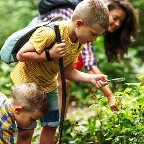 JOB:Teaching Assistant – Forest School Support (SEMH Focus)