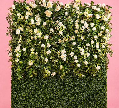 ChatGPT Image Apr 29, 2026, 02_12_14 AM.png