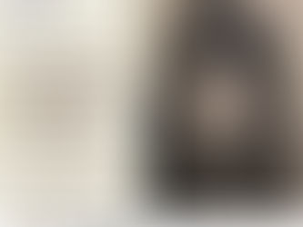 Museu Virtual Professora Noêmia Lourenço da Silva: Da proposta à materialização