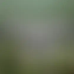 แพลอยน้ำเหมาะกับงานแบบไหน