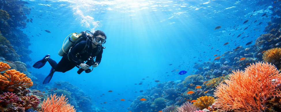 Open Water Koh Tao price