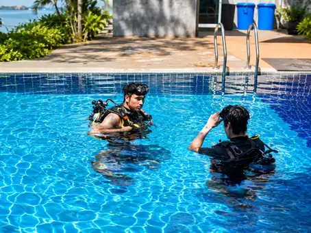scuba diving certification koh tao