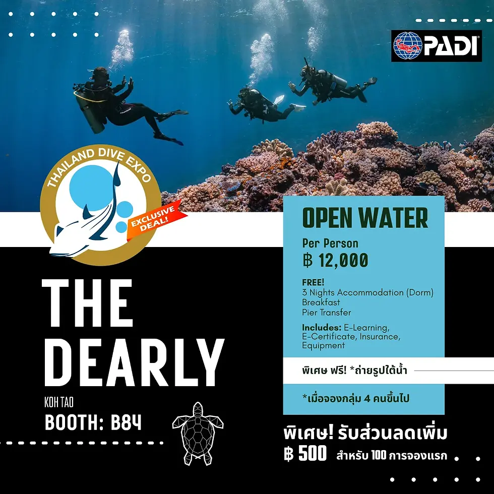 Open Water Dive