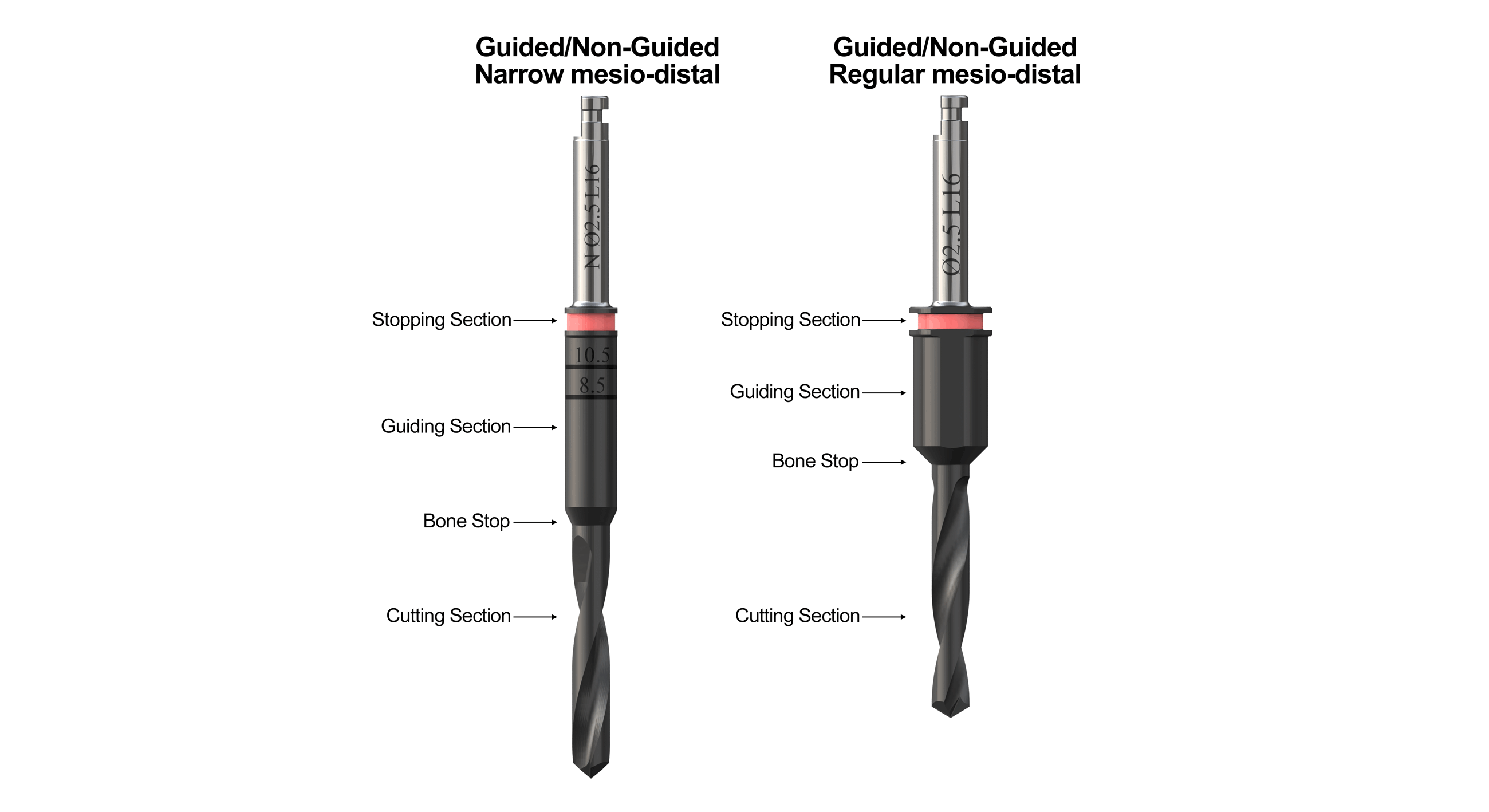 Guided-Non-Guided-Regular-mesio-distal-BlueSkyBio.gif