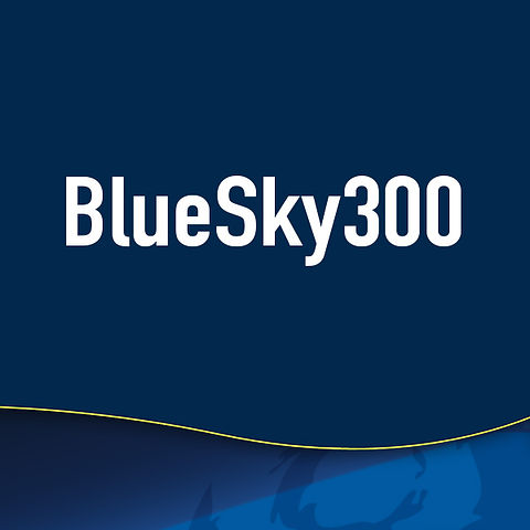 blueskyページ BlueSky300 | blueskyplan