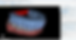 Model Export.png