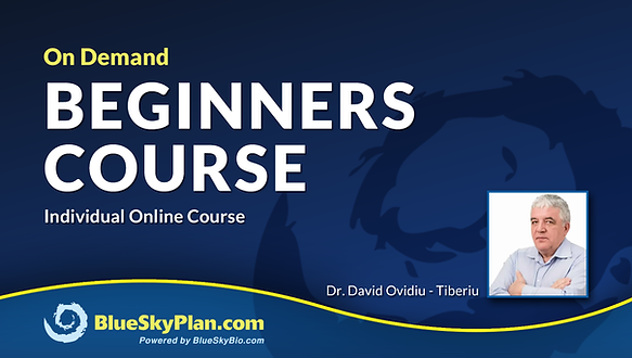 Beginner Course course