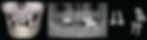 Merged teeth and implants compared with segmented implants and teeth in Blue Sky Plan