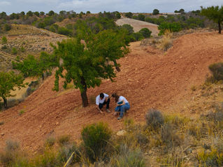 Operador Agroambiental en el Mar Menor: Cómo cumplir la normativa en 2026 sin sacrificar tu rentabilidad