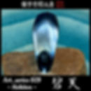 Thumbnail: Art_series 029 碧天【受注製作】43,000jpy