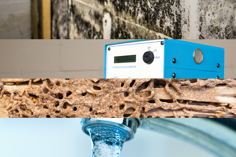 Mold Testing, Radon Testing, Termite Inspection, Water Quality Testing, Sewer Scopes & Well Yields