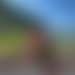 Building Trust in the First 90 Days