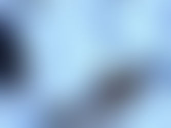 🔥 Some Dogs Are Built for Snow—Others REALLY Need Your Help. Which One Do You Have?