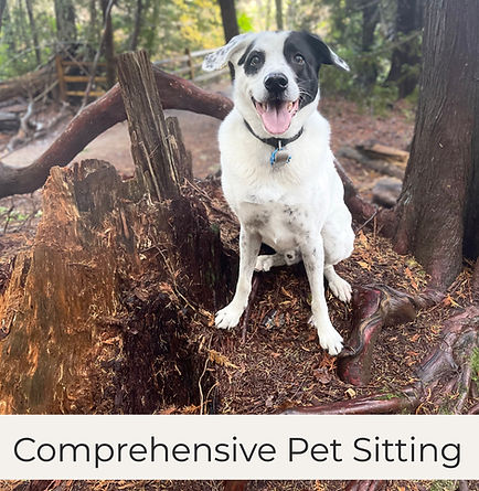 IMG_7944 3_edited_edited_edited.jpg