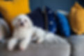 iStock-1307368542.jpg