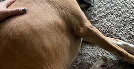 Jaw-Dropping Massage Benefits