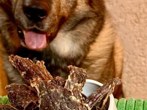 Canine Nutrition 101: What You Need to Know About Your Dog’s Diet and Our Premium Treats