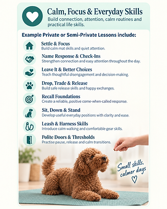soul-paws-vancouver-calm-focus-everyday-skills-private-coaching.PNG