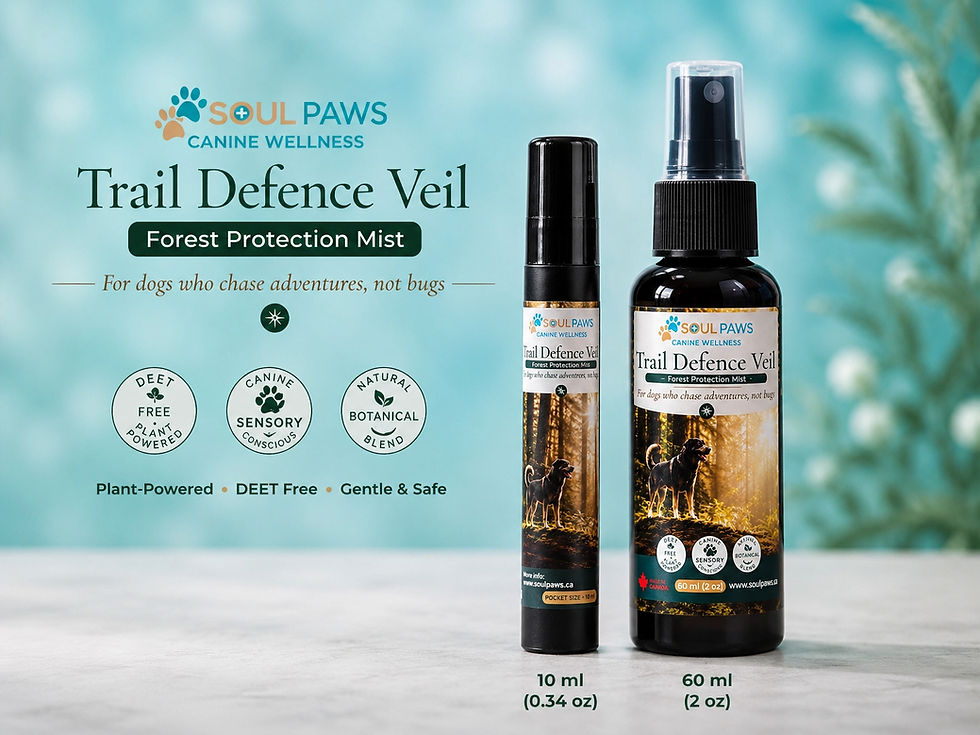Thumbnail: Pocket Size Trail Defence Veil