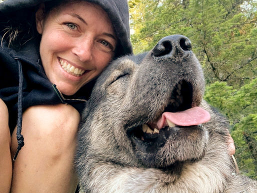 🐾 Love, According to Dogs