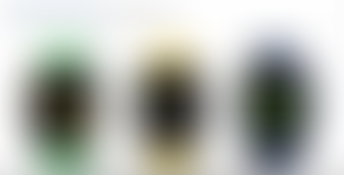 WWDC22 – A Quick Summary of the Keynote (A 1-Minute Read)