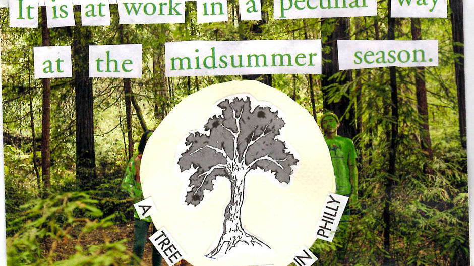 A tree grows in Philly