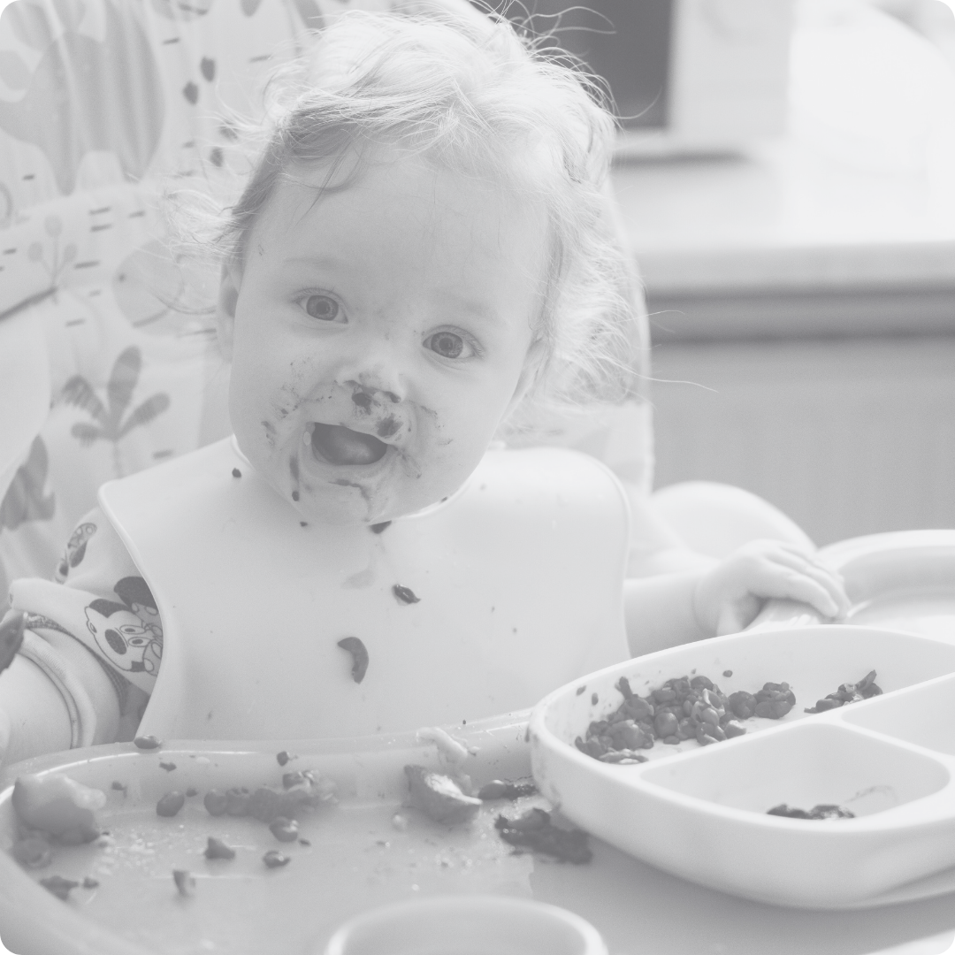 Introducing Solid Foods E-Book