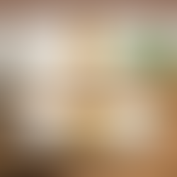 Vinnis blossom honey