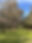 Barwon Edge.JPG