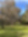 Barwon Edge.JPG