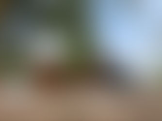 AWARD // DPIRD Temporary Laboratories