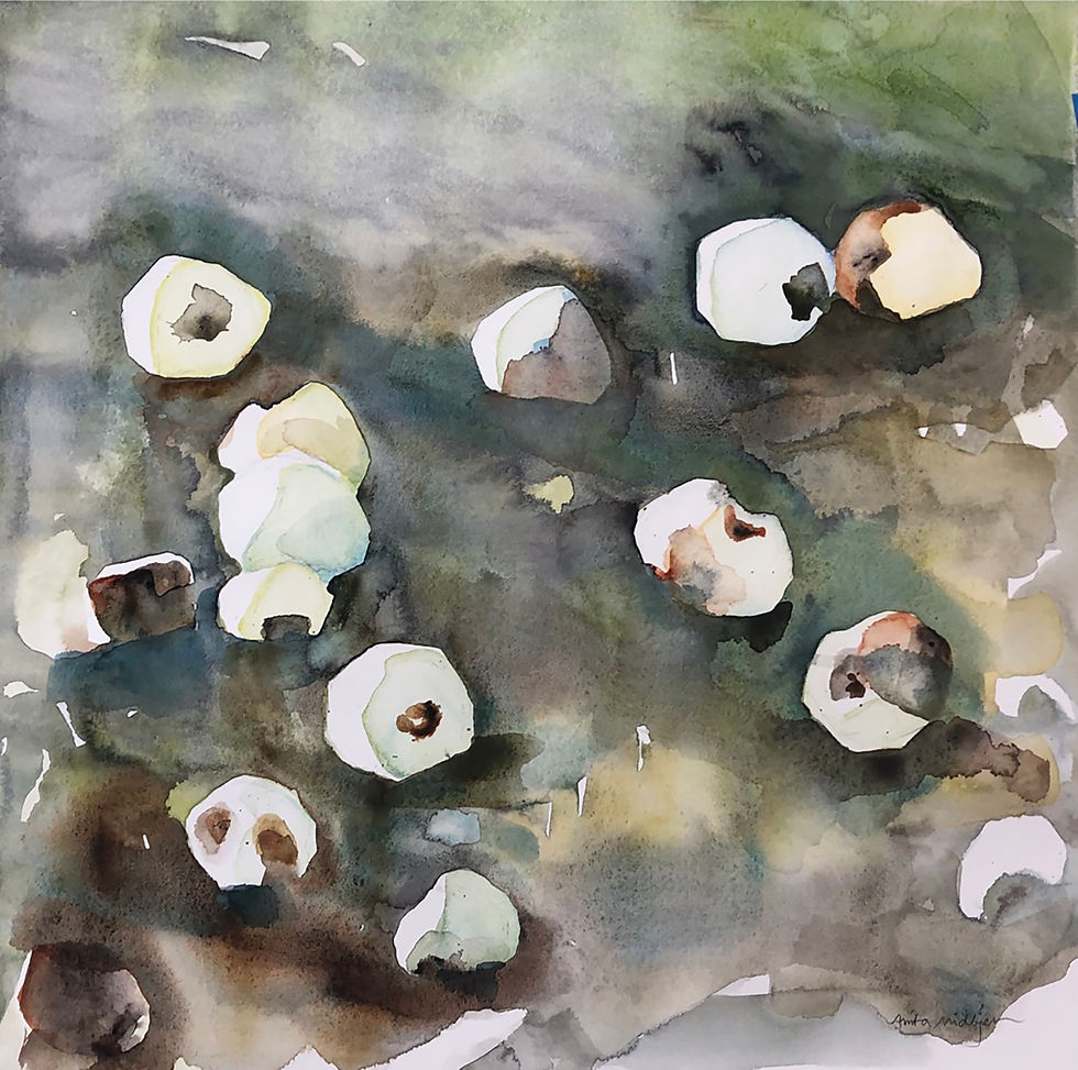 Glasäpplen i skymningen