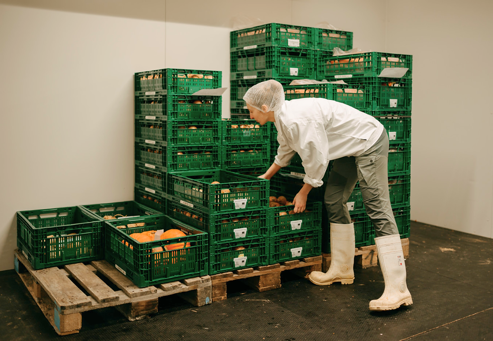 La légumerie de Bressoux, le « chaînon manquant » de l’alimentation durable