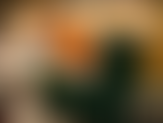 Colruyt Professionals ouvre ses premières succursales flamandes à Gand et Machelen