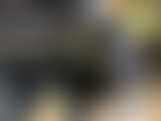 The bestselling copies have arrived - Feb 2022