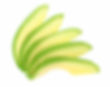 Avocado (Sliced)